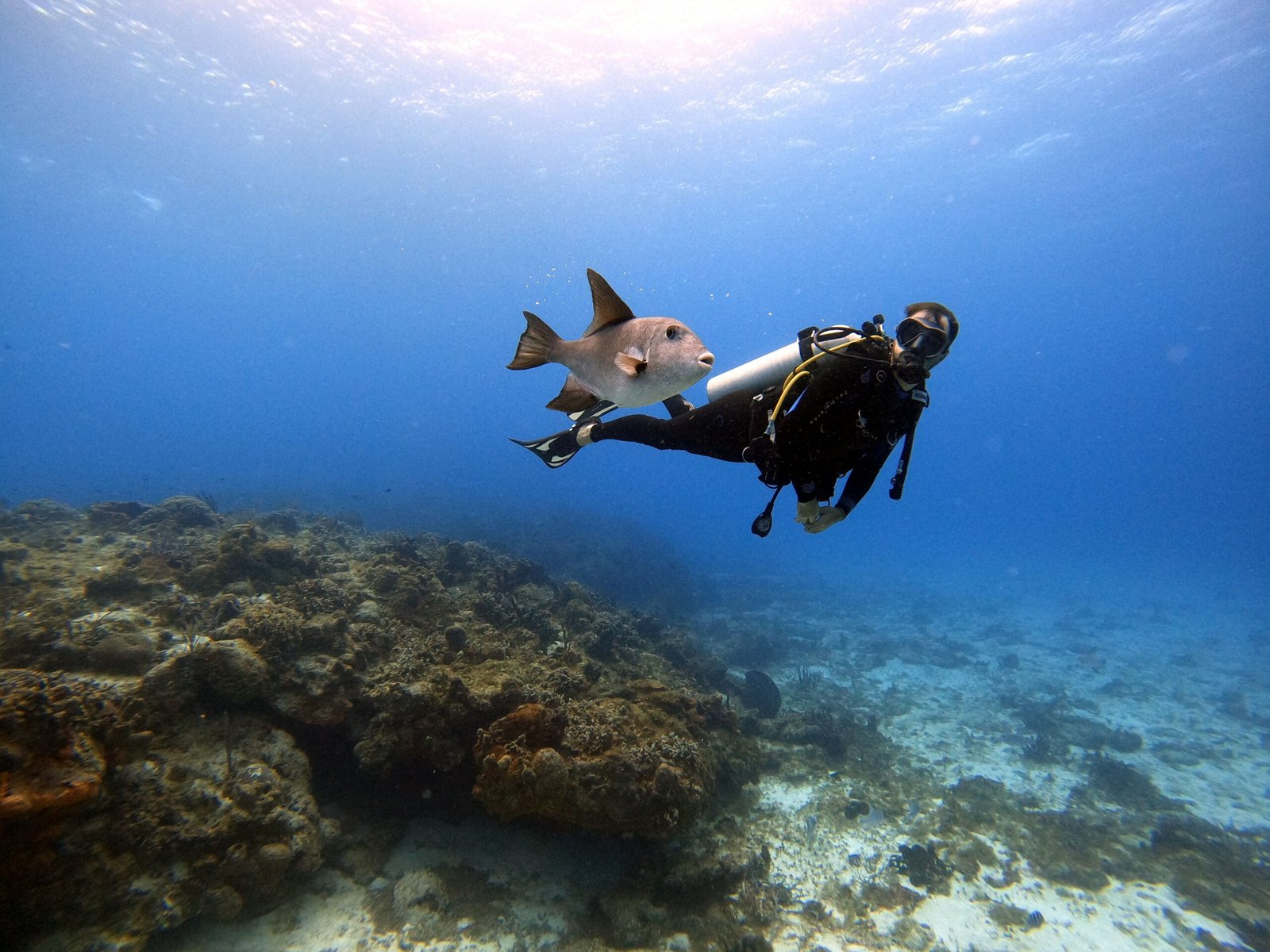 Experiencia de buceo en el mar Caribe